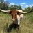 Ranchhand